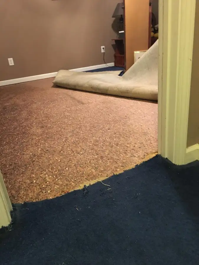 Carpet pad removal revealing water damage during Water Mitigation Services in Little Egg Harbor