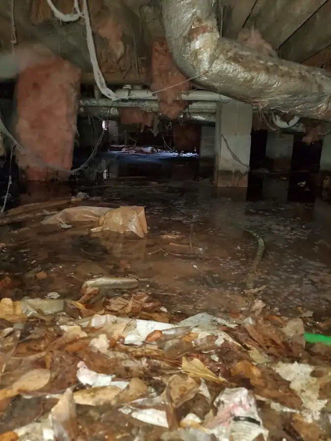 Crawl space flood assessment for Leak Detection & Repair in Little Egg Harbor