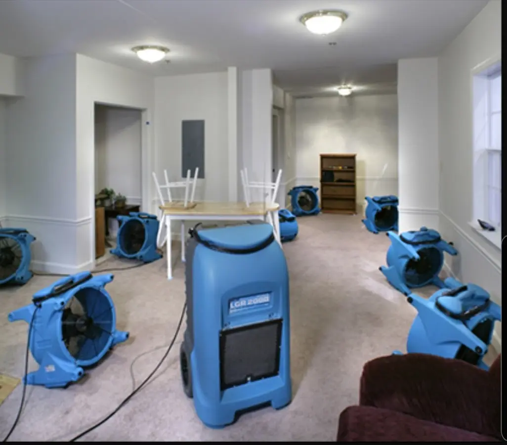 Air movers and dehumidifier setup for Water Extraction & Removal in Little Egg Harbor