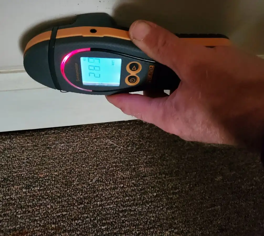 Moisture detection at baseboard during Sewage Cleanup & Sanitation in Little Egg Harbor